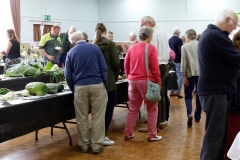 Some of the visitors enjoying the display (2)