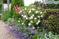 Front border