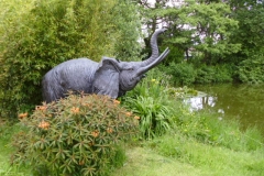 Ros' elephant by her famous pond