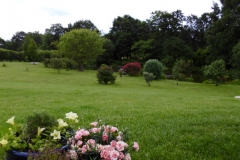 View across the lawn to the pond