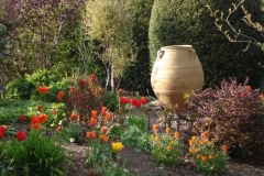 Hot-border-with-Tulips-Apeldoorn-Ballerina-Queen-Wilhemina