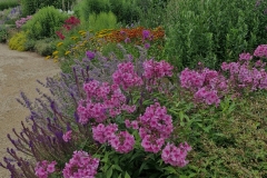 thumbnail_20250707_121523