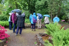 2nd-tour-looking-for-newts-in-the-rill