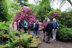 First-guided-dry-tour
