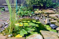 Sophies-new-pond-done-in-spring