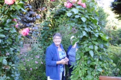 Framed by a rose arch!