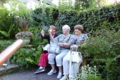 The three wise monkeys caught on camera again!!